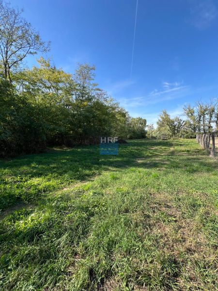 Gärten in Kopčany mit weitläufigem Rasen, umgeben von Bäumen unter blauem Himmel.