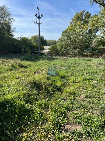 Ein Strommast inmitten eines grünen Gartens in Kopčany, umgeben von üppiger Vegetation.