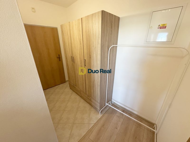 Der Flur des Einzimmerapartments mit einem Boden in Holzoptik und einem Kleiderschrank.