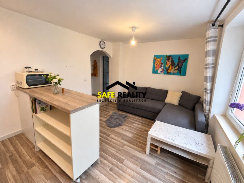 Wohnzimmer in einer Einzimmerwohnung mit Holzboden und einem bequemen Sofa.