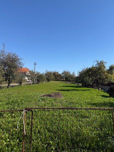 Grünflächen und Bäume auf Wohnbaugrundstücken in Kovarce unter blauem Himmel.