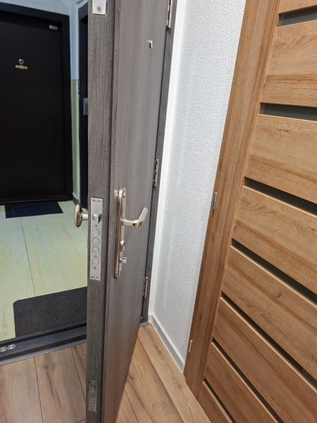 Eingangstür mit Metallbeschlägen in einer Einzimmerwohnung, Boden mit Holzdekor.