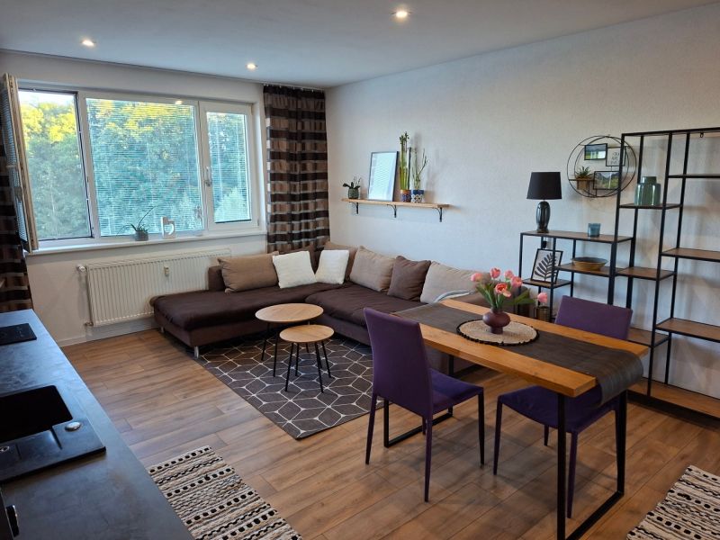 Wohnzimmer mit Holzboden, Sofa und Esstisch in einer Einzimmerwohnung.