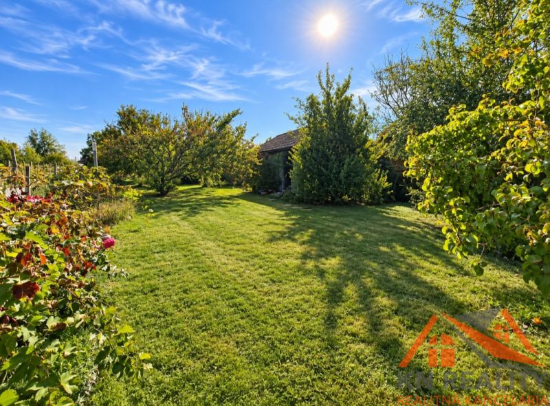 Der Garten des Einfamilienhauses in Martovce mit Rasen, Bäumen und sonnigem Wetter.