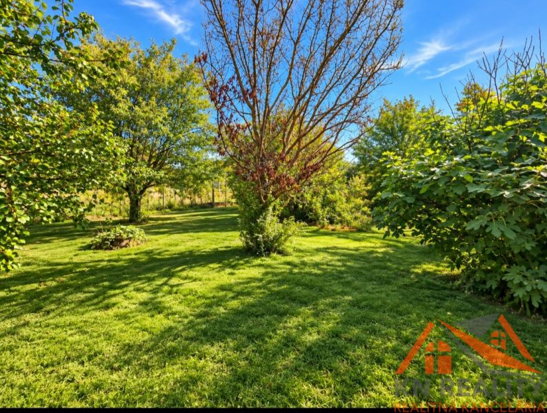 Der Garten eines Einfamilienhauses in Martovce mit üppiger Vegetation und klarem Himmel.