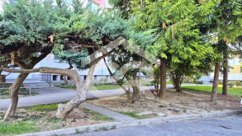 Bäume und Grünflächen vor dem Eingang des Wohnhauses in der Dlhá-Straße in Nitra - Chrenová.