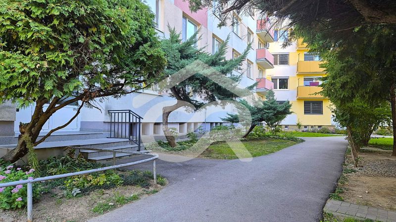 Ein Gehweg umgeben von Grünflächen und Bäumen bei einem Einzimmerapartment in der Dlhá Straße in Nitra - Chrenová.