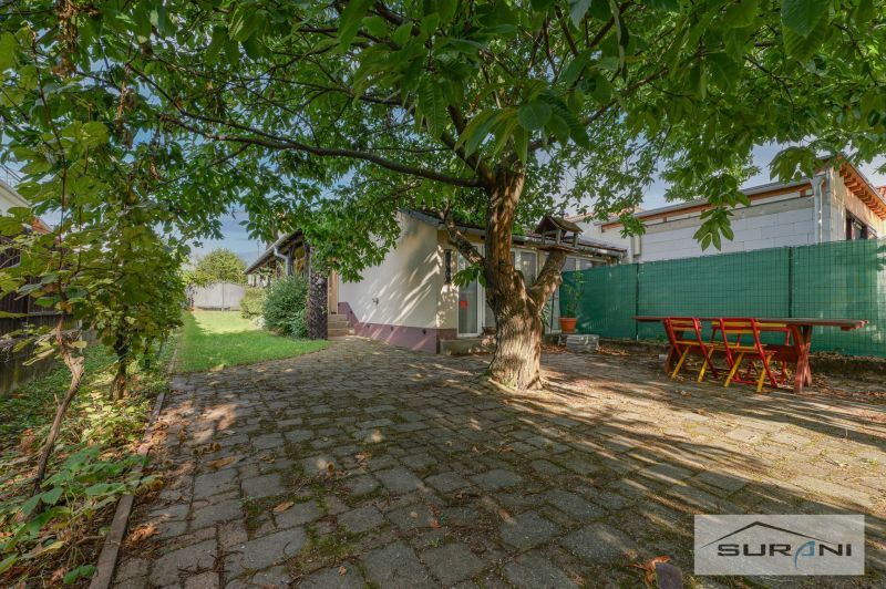 Ein Einfamilienhaus in der Hauptstraße in Štefanová, umgeben von einem grünen Hof mit einem großen Baum.
