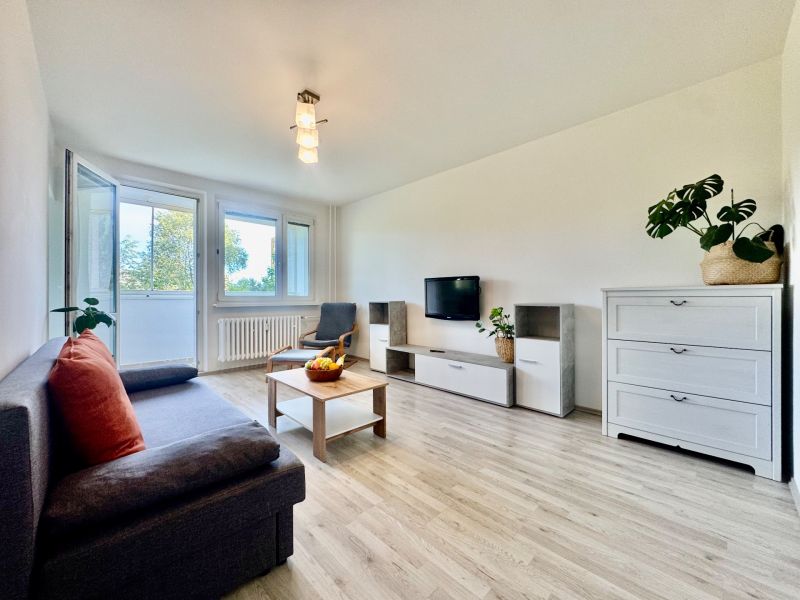 Wohnzimmer in einer 3-Zimmer-Wohnung mit Holzboden und ausziehbarem Sofa.