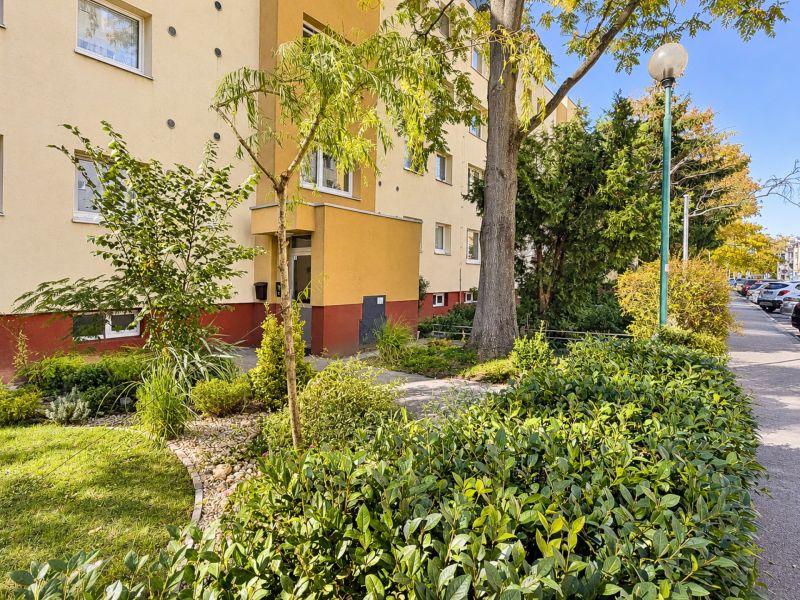 Das Grün und die Bäume in der Umgebung des Wohnhauses in der Bielorussischen Straße in Bratislava, Podunajské Biskupice.