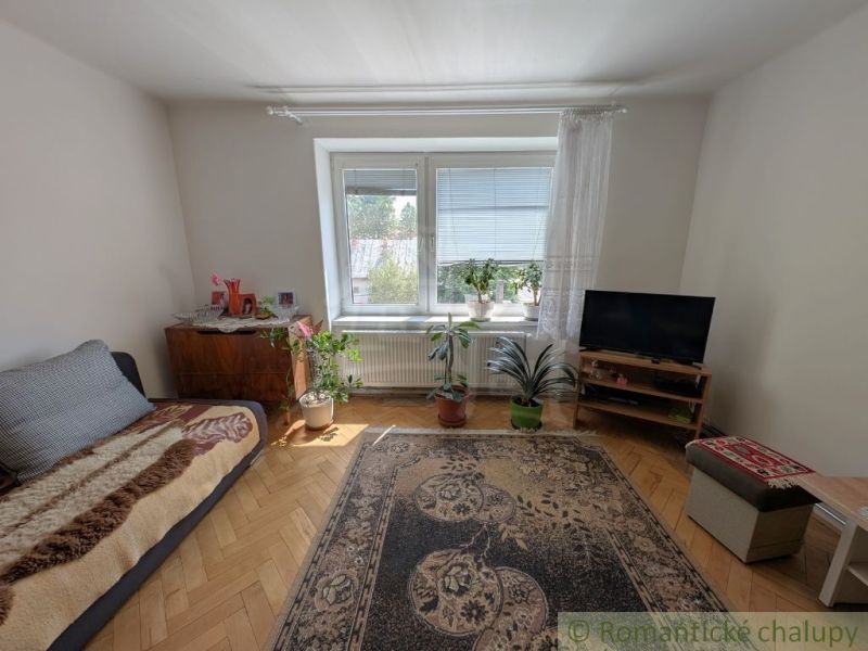 Ein Zimmer in einer 2-Zimmer-Wohnung mit Teppichen, Blumen und einem Boden in Holzoptik.