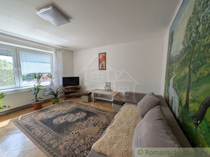 Wohnzimmer in einer Zweizimmerwohnung mit Teppich, bequemer Couch und großem Fenster.