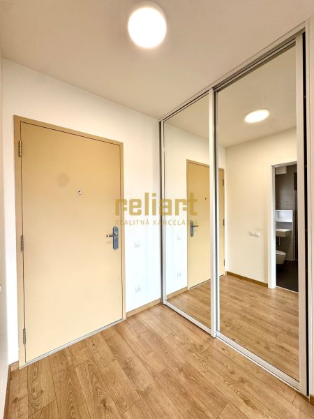 Eingangsflur in einer 2-Zimmer-Wohnung mit einem Schiebespiegelschrank und einem Boden in Holzoptik.