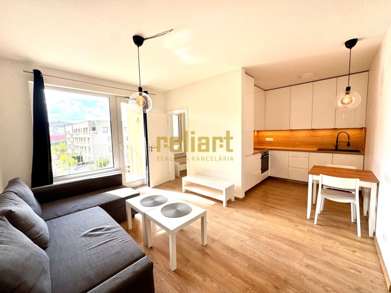 Wohnzimmer mit Küche in einer 2-Zimmer-Wohnung mit Holzboden.
