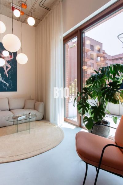 Wohnzimmer in einer 2-Zimmer-Wohnung mit Sofa, Sessel und Zimmerpflanze.