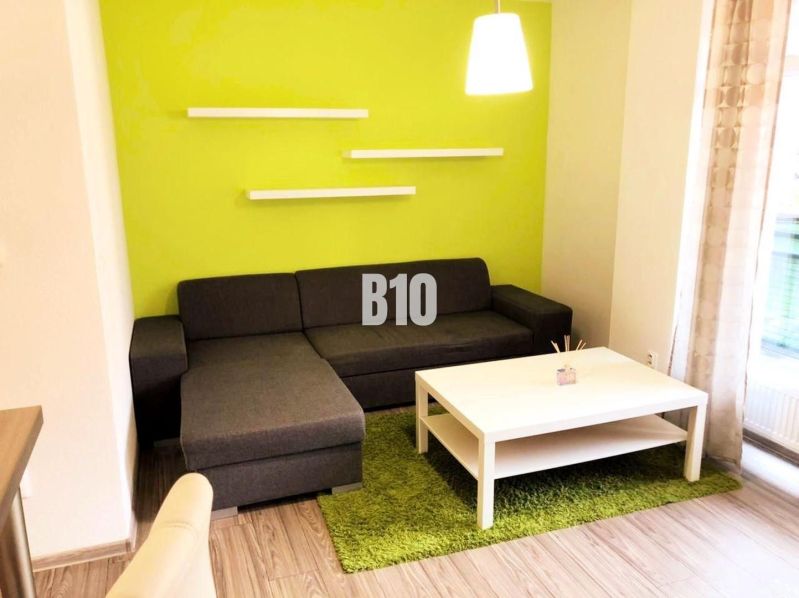 Wohnzimmer einer Zweizimmerwohnung mit dunkelgrauem Sofa, grünem Teppich und Regalen.