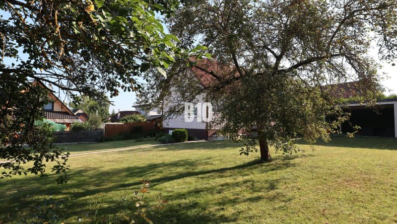 Ein Einfamilienhaus in Žilina mit einem großen Garten, Rasen und Obstbäumen.