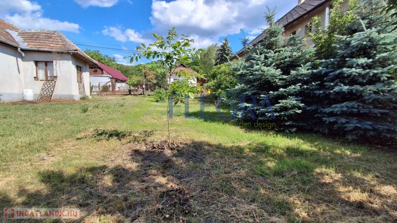 Ein Einfamilienhaus in Abaújkér mit einem geräumigen Garten, einem jungen Baum und Nadelbäumen unter blauem Himmel.
