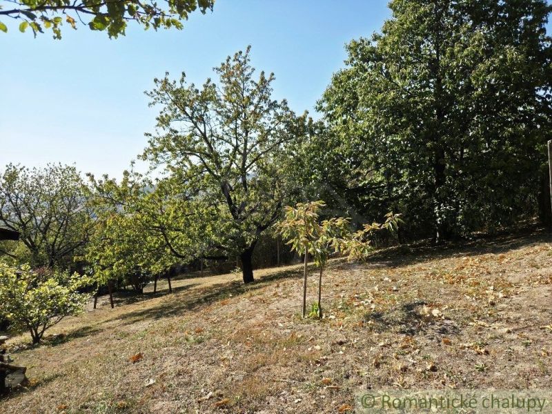 Der Garten bei der Hütte in Modrý Kameň mit Obstbäumen auf einem hügeligen Gelände.
