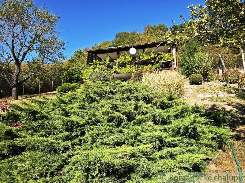 Der Garten bei der Hütte in Modrý Kameň, umgeben von Grün und Obstbäumen.