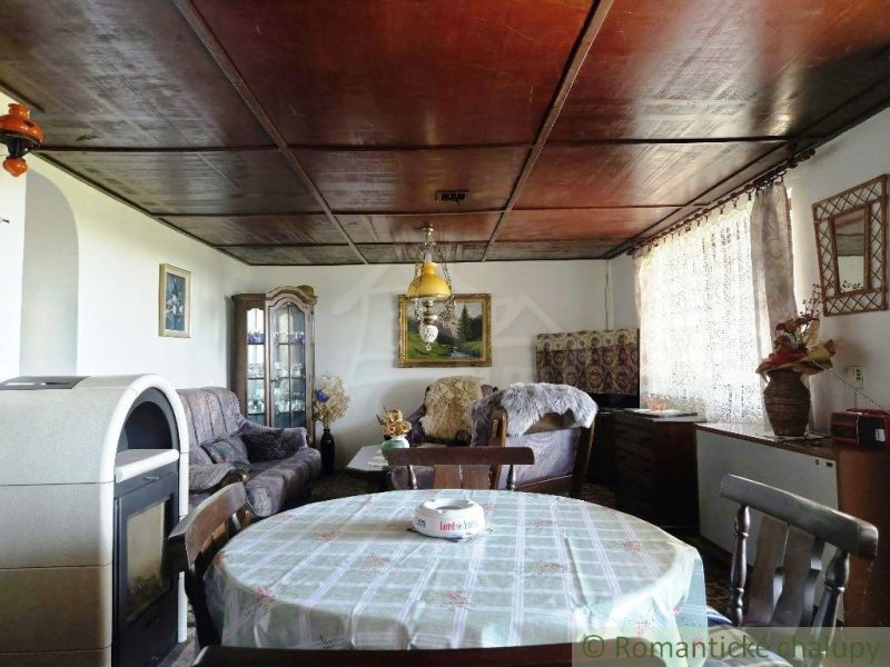 Das Innere der Hütte mit einem Boden in Holzoptik, einer Holzdecke, einem Tisch und einem Kamin.
