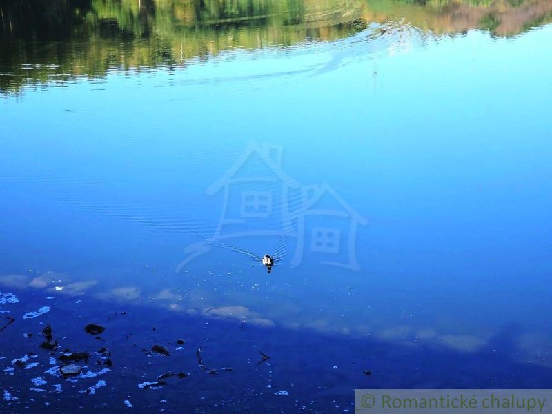 Eine Ente schwimmt auf den ruhigen Gewässern des Sees in den Gärten bei Krupina.