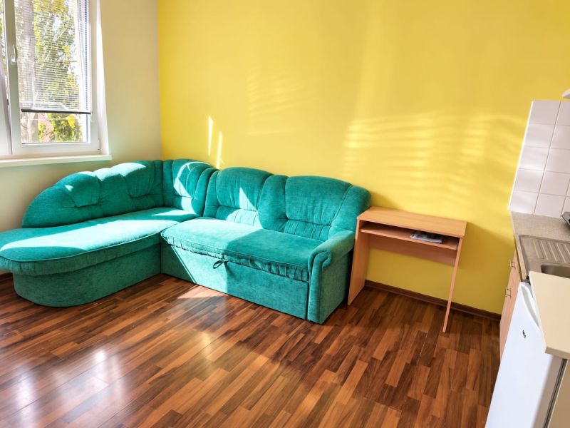 Einzimmerwohnung mit Ecksofa, Holzboden und gelber Wand.