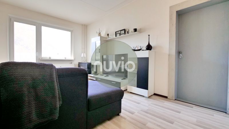Ein Blick ins Wohnzimmer mit Holzboden in einer Zweizimmerwohnung.