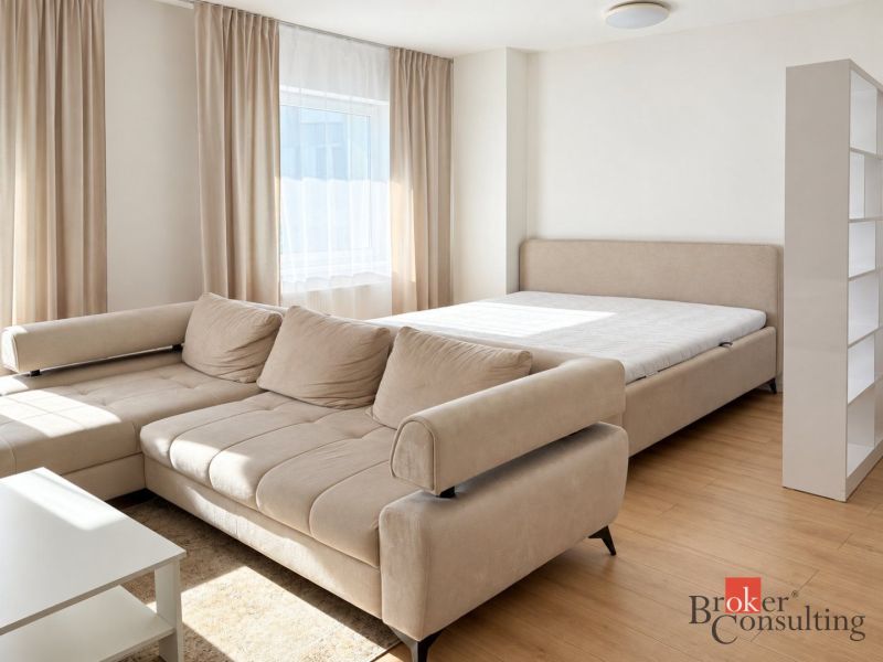 Wohnraum mit Sofa, Bett und Holzboden in einer Einzimmerwohnung.